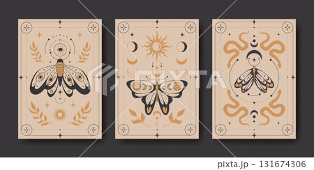 Mystic boho poster designs 131674306