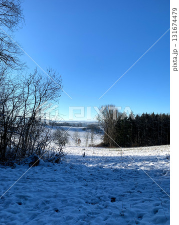 Bright winter scene featuring a field blanketed in snow with trees and a serene lake in the background under a clear sky 131674479