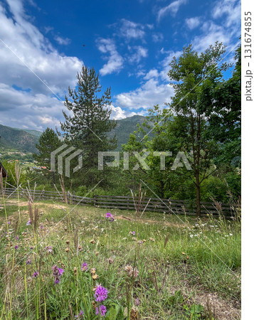 Picturesque rural landscape with trees and cottages on grassy hills under cloudy sky Picturesque rural landscape with trees and cottages on grassy hills under cloudy sky 131674855