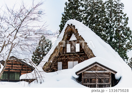 五箇山 相倉合掌造り集落　雪化粧した民家 131675028