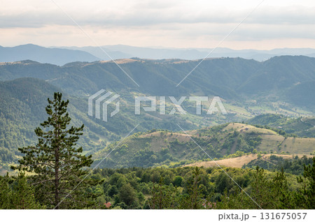 Panoramic view of green forested mountains and valleys under gloomy cloudy sky on natural scenic 131675057