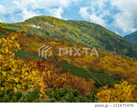 紅葉の将棊頭山周辺 紅葉の将棊頭山周辺 131675476