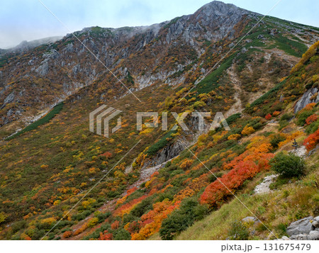 紅葉の濃ケ池周辺 紅葉の濃ケ池周辺 131675479