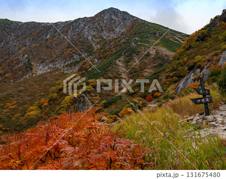 紅葉の濃ケ池周辺 紅葉の濃ケ池周辺 131675480