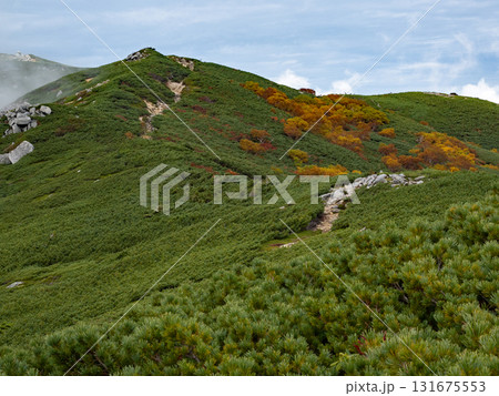 紅葉の将棊頭山周辺 紅葉の将棊頭山周辺 131675553