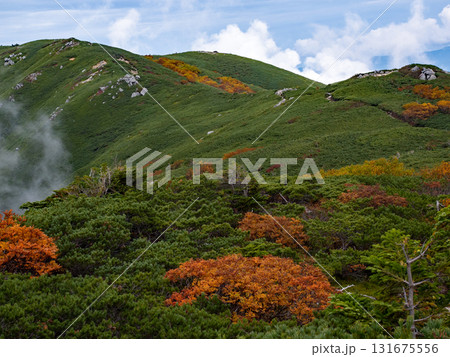 紅葉の将棊頭山周辺 131675556