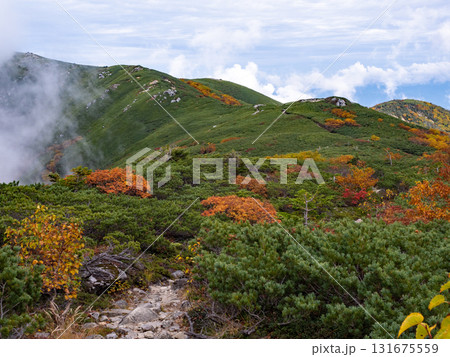 紅葉の将棊頭山周辺 紅葉の将棊頭山周辺 131675559