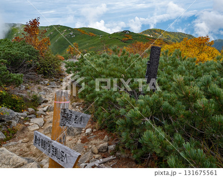 秋の将棊頭山周辺 秋の将棊頭山周辺 131675561