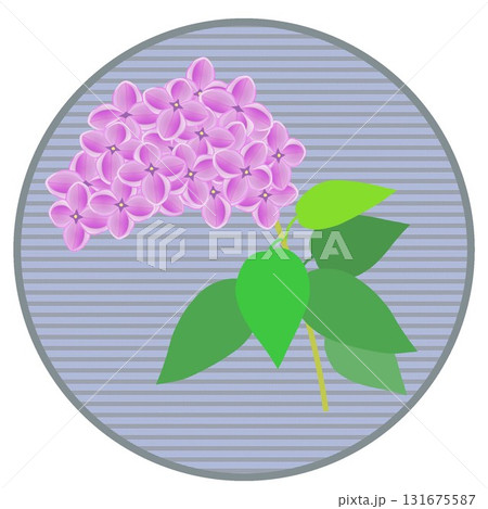 円形背景つきライラックのイラスト 131675587