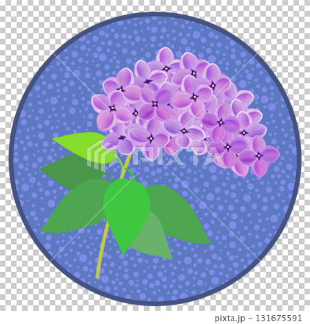 Lilac illustration with circular background Lilac illustration with circular background 131675591