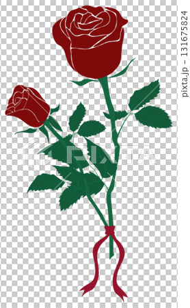 Red Rose flower with ribbon bow 131675824