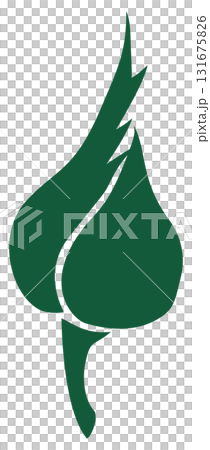 rosebud, opening bud rosebud, opening bud 131675826