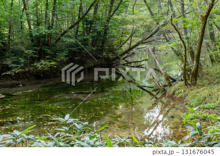 初秋の上高地 131676045