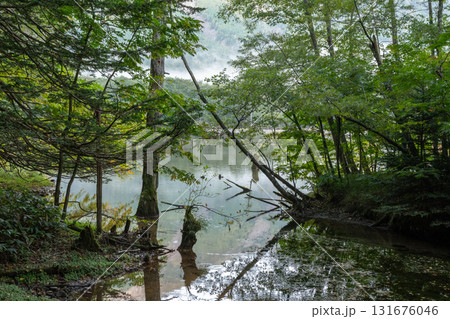 初秋の上高地 初秋の上高地 131676046