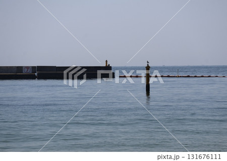 青い海面の海と杭の上の鳥と突堤と空の風景 131676111