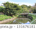 さいたま市を流れる見沼代用水東縁の風景 131676181