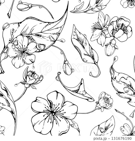 Cherry sakura apple white flower and bud with plant leaves on branches, hand drawn vector ink, wildflower botanical illustration. Seamless isolated pattern, for scrapbooking, wedding, florist shop. 131676190