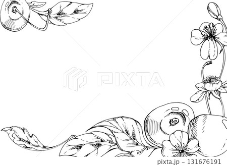 Sweet sour line cherry with plant leaves, white flowers, hand drawn vector ink, cerise berry clusters on stems. Corner frame horizontal illustration. Restaurant, cafe menu, wedding, farmers market 131676191