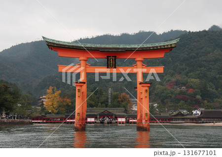 弥山 宮島 厳島神社 広島県 弥山 宮島 厳島神社 広島県 131677101