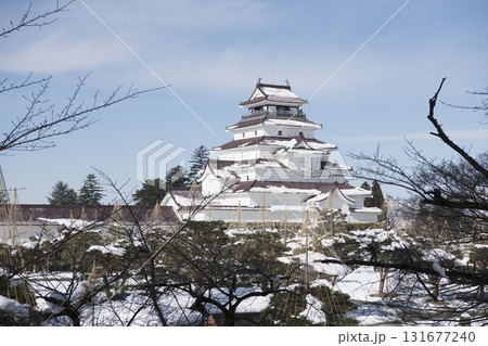 雪化粧した鶴ヶ城 雪化粧した鶴ヶ城 131677240