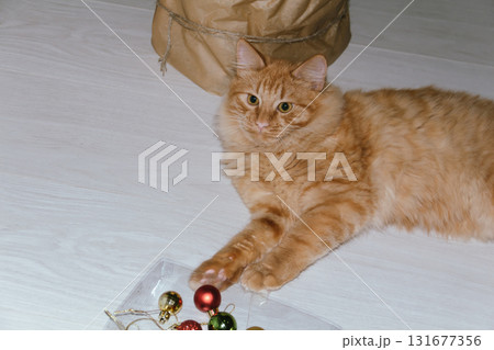 A ginger cat plays near a Christmas tree with Christmas balls. Concept for the Christmas and New Year holidays. A ginger cat plays near a Christmas tree with Christmas balls. Concept for the Christmas and New Year holidays. 131677356