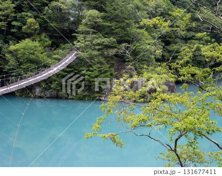 エメラルドグリーンの湖に架かる夢のつり橋 エメラルドグリーンの湖に架かる夢のつり橋 131677411