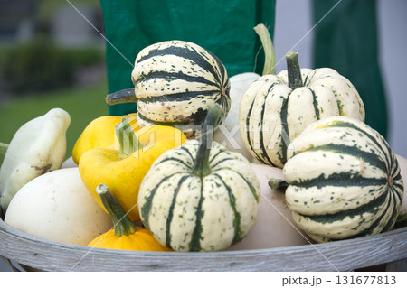 A vibrant assortment of gourds and pumpkins displayed in a rustic wooden basket A vibrant assortment of gourds and pumpkins displayed in a rustic wooden basket 131677813