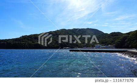 大瀬崎海岸 131677870