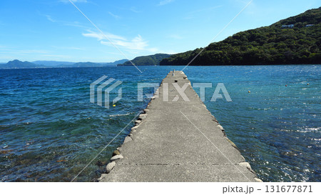 大瀬崎海岸 大瀬崎海岸 131677871