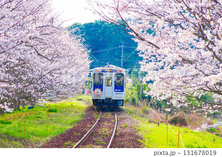 松浦鉄道の浦ノ崎駅(桜の駅) 松浦鉄道の浦ノ崎駅(桜の駅) 131678019