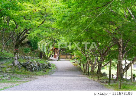 愛知県豊田市・香嵐渓の新緑に包まれた散策道。木漏れ日が降り注ぐ静かな夏の風景。 愛知県豊田市・香嵐渓の新緑に包まれた散策道。木漏れ日が降り注ぐ静かな夏の風景。 131678199
