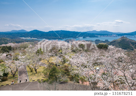 大山公園(松浦市)の桜 大山公園(松浦市)の桜 131678251