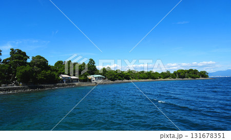 大瀬崎海岸 131678351