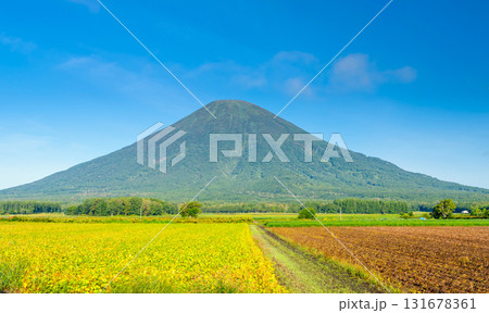 北海道・夏の羊蹄山 北海道・夏の羊蹄山 131678361
