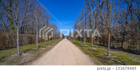 Gardens and Forest of the Royal Palace of La Granja de San Ildefonso, Spain 131678485