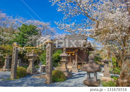 印鑰神社(うきは市)のサクラ 印鑰神社(うきは市)のサクラ 131678558