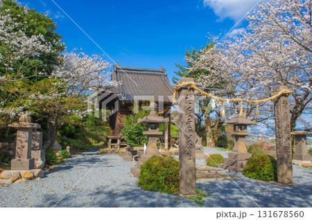 印鑰神社(うきは市)のサクラ 印鑰神社(うきは市)のサクラ 131678560