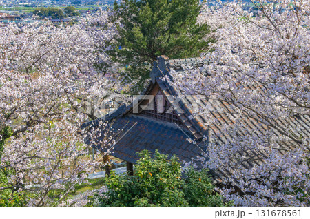 印鑰神社（うきは市）のサクラ 131678561