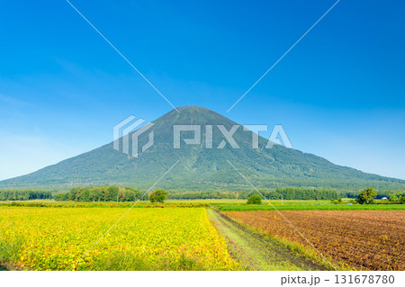 北海道・夏の羊蹄山 北海道・夏の羊蹄山 131678780