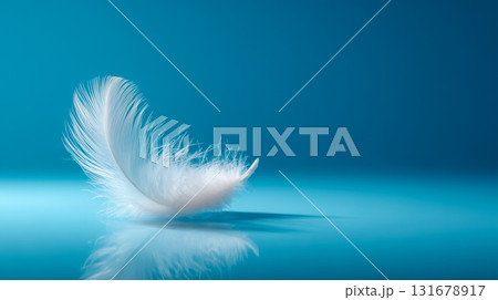 天使のような軽やかさと清らかさを持つ羽 131678917