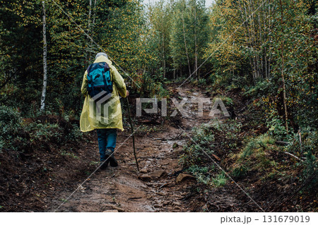 Rear view of a tourist in a raincoat with a backpack and a stick walking along a rocky path in the autumn forest. Rear view of a tourist in a raincoat with a backpack and a stick walking along a rocky path in the autumn forest. 131679019