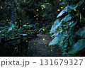 ホタル　昆虫 131679327