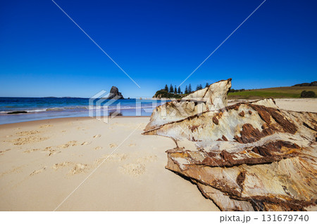 Glasshouse Rocks in Narooma Australia Glasshouse Rocks in Narooma Australia 131679740