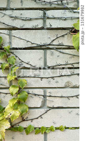 Freshly cut grass piled in sunlight at a garden in summer, showcasing vibrant green colors and texture Freshly cut grass piled in sunlight at a garden in summer, showcasing vibrant green colors and texture 131679982