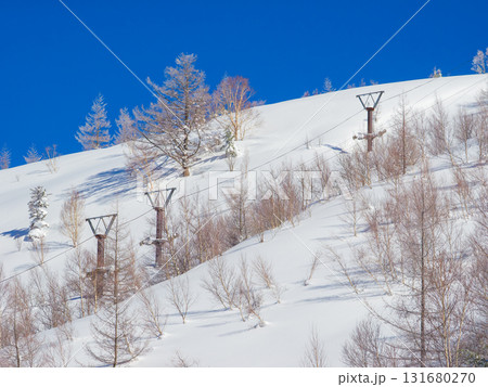 冬季は休止する夏山観光リフトの支柱だけが残る雪景色 (長野県、志賀高原) 131680270