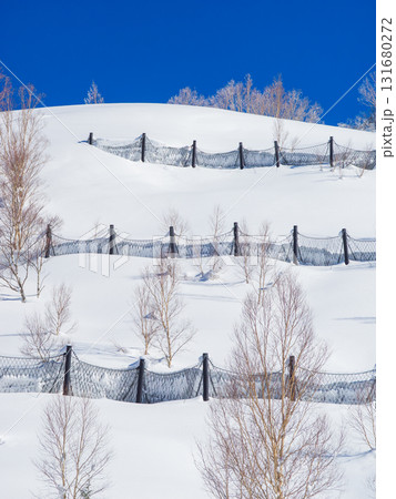 快晴の空と雪深い山の斜面に設置された雪崩防止柵 (長野県、志賀高原) 131680272