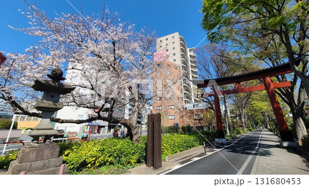 大宮氷川神社一の鳥居 131680453