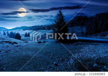 beautiful mountain landscape in autumn at night. coniferous forest in natural park. rural valley with grassy pastures on hills in misty weather. amazing countryside in full moon light 131680965