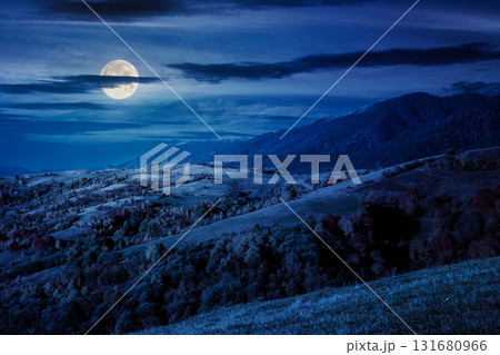 mountain landscape in autumn at night. beautiful view with trees in colorful foliage. picturesque rural place in alps in full moon light. countryside scenery 131680966