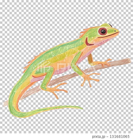 カラフルなトカゲのイラスト 131681065